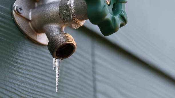 Best Local Plumber Services  in Mill Creek East, WA